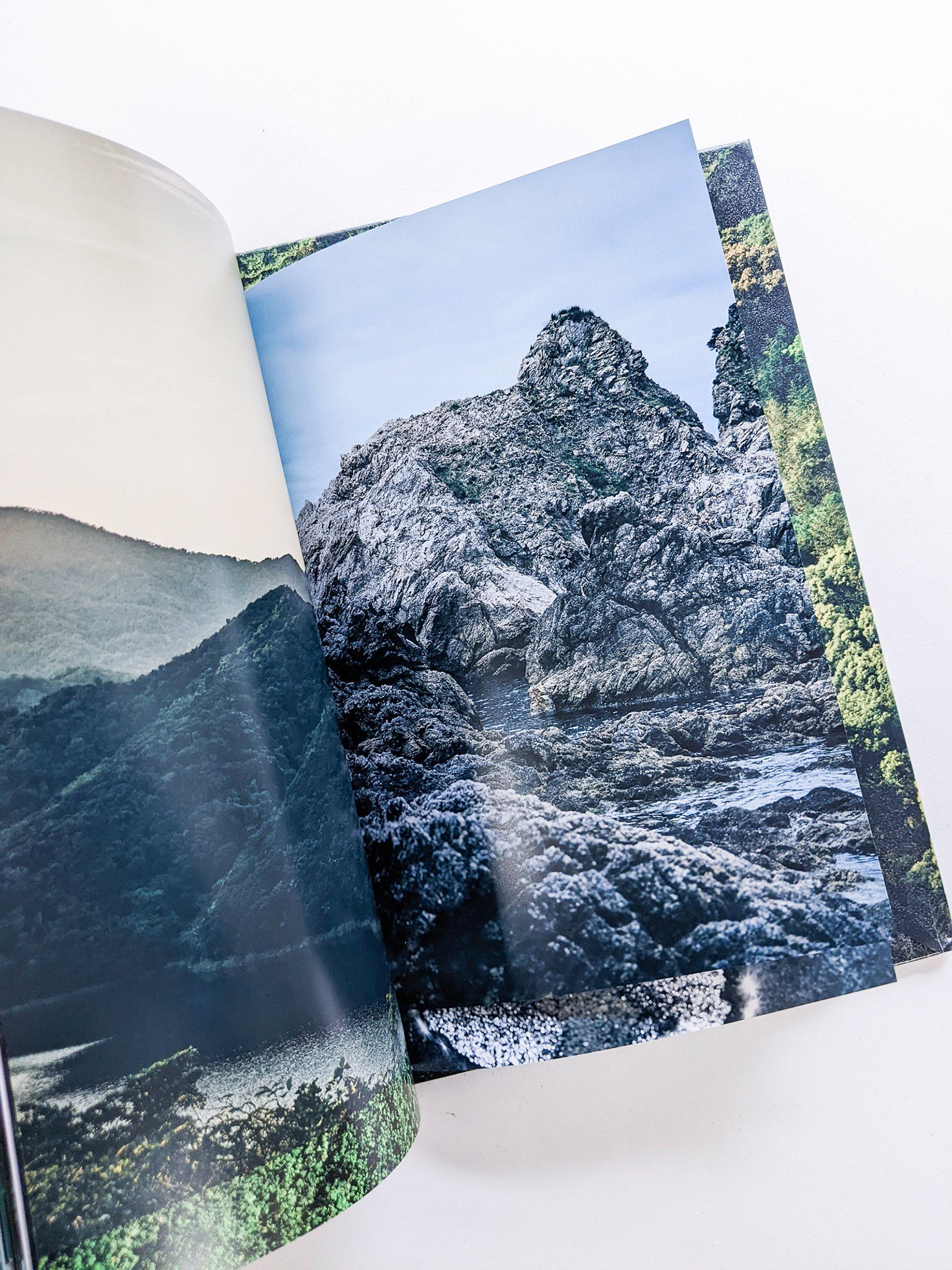 WARP AND WOOF / 竹之内祐幸