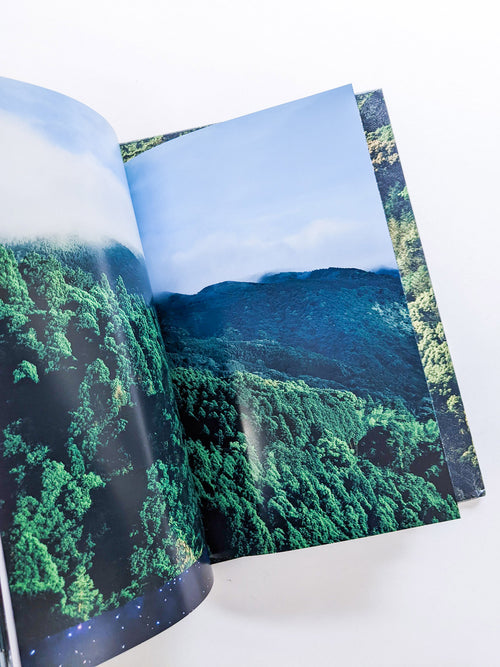 WARP AND WOOF / 竹之内祐幸