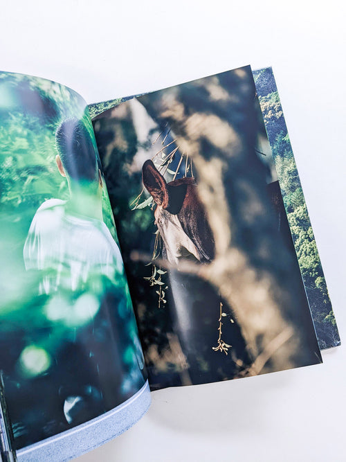 WARP AND WOOF / 竹之内祐幸