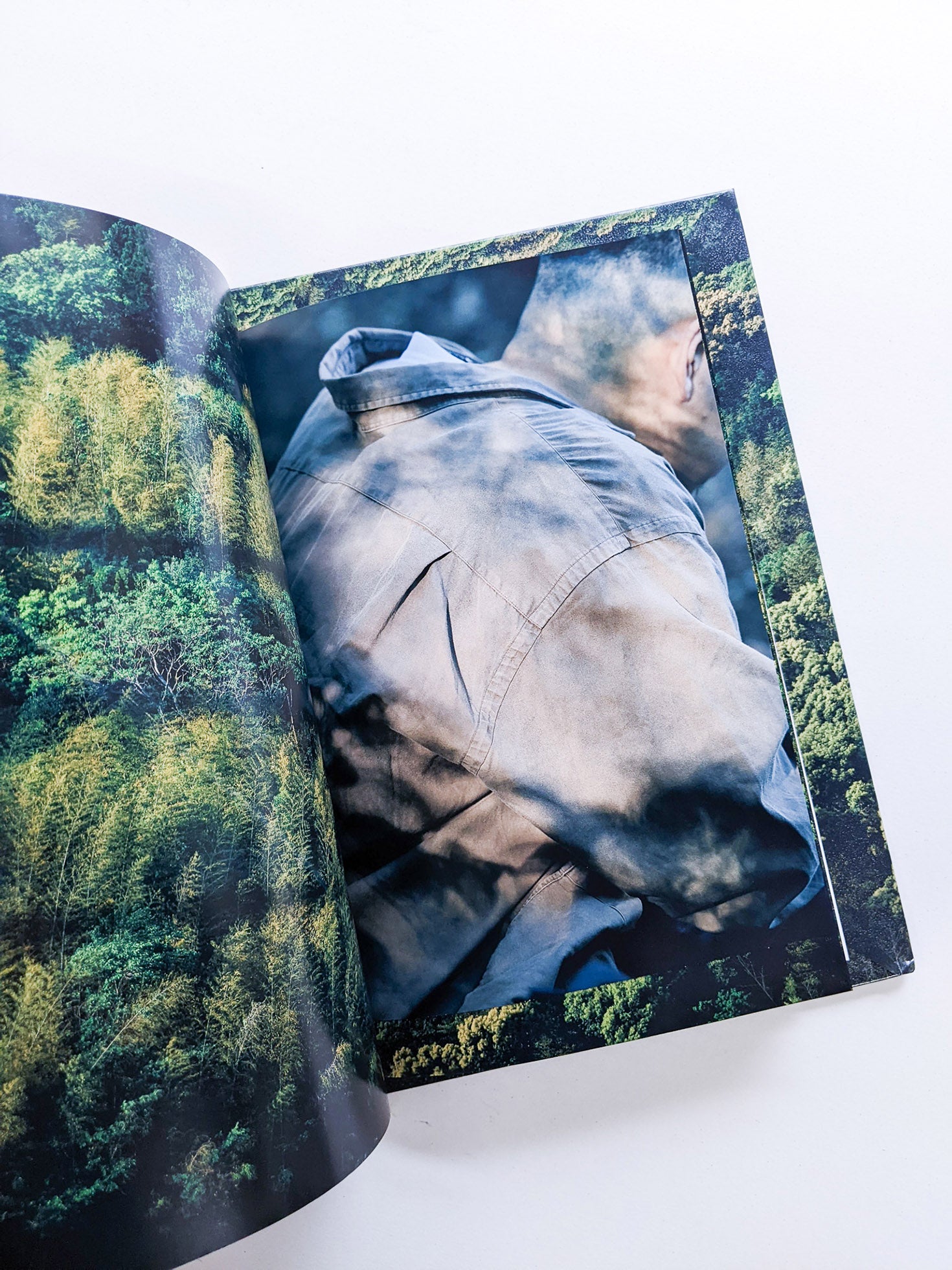 WARP AND WOOF / Hiroyuki Takenouchi