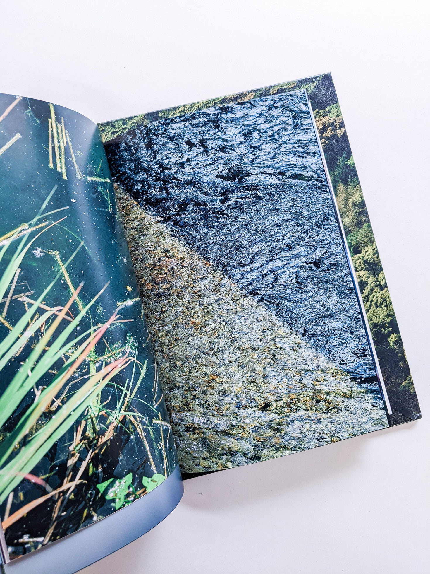 WARP AND WOOF / 竹之内祐幸