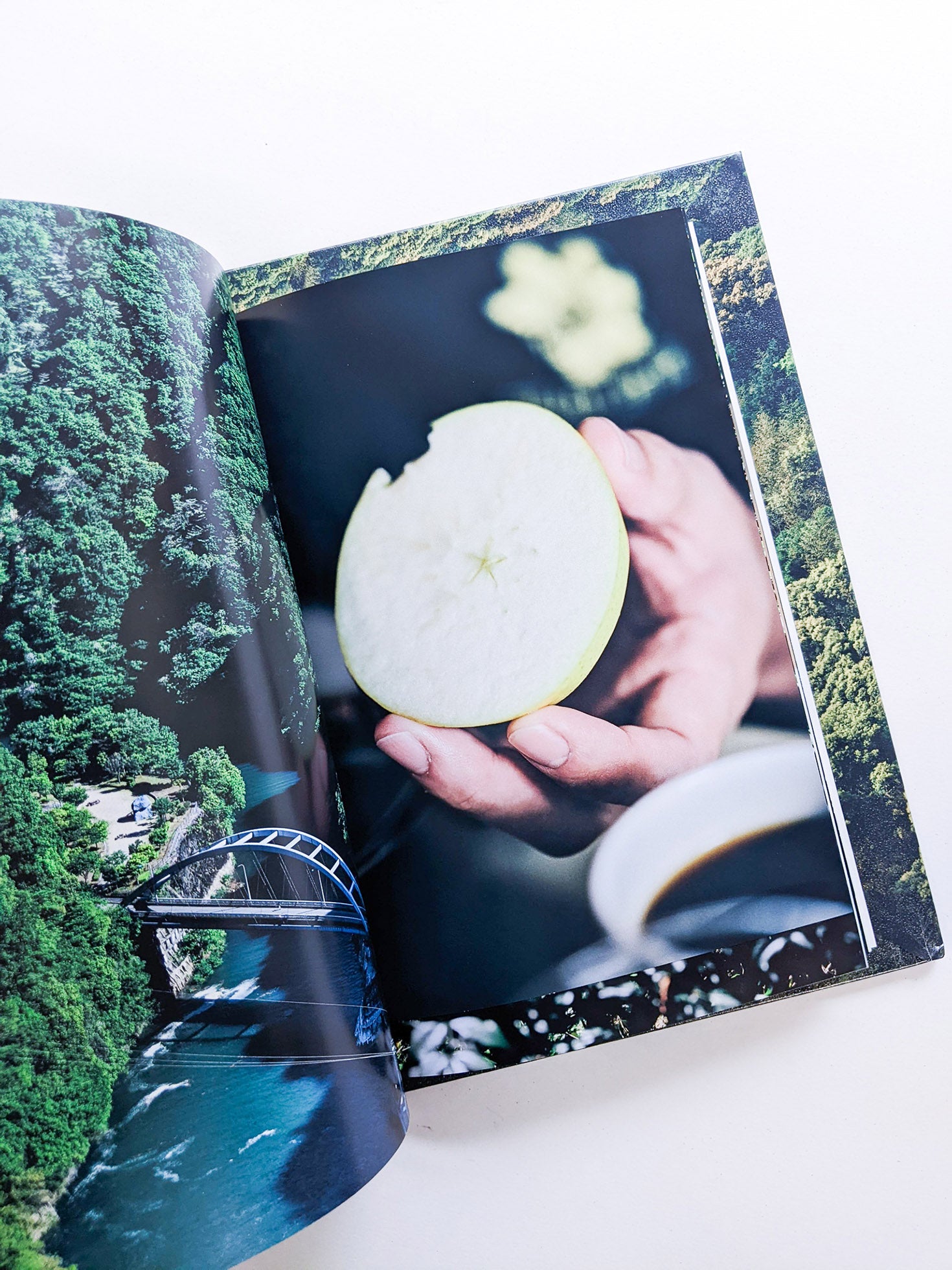 WARP AND WOOF / Hiroyuki Takenouchi