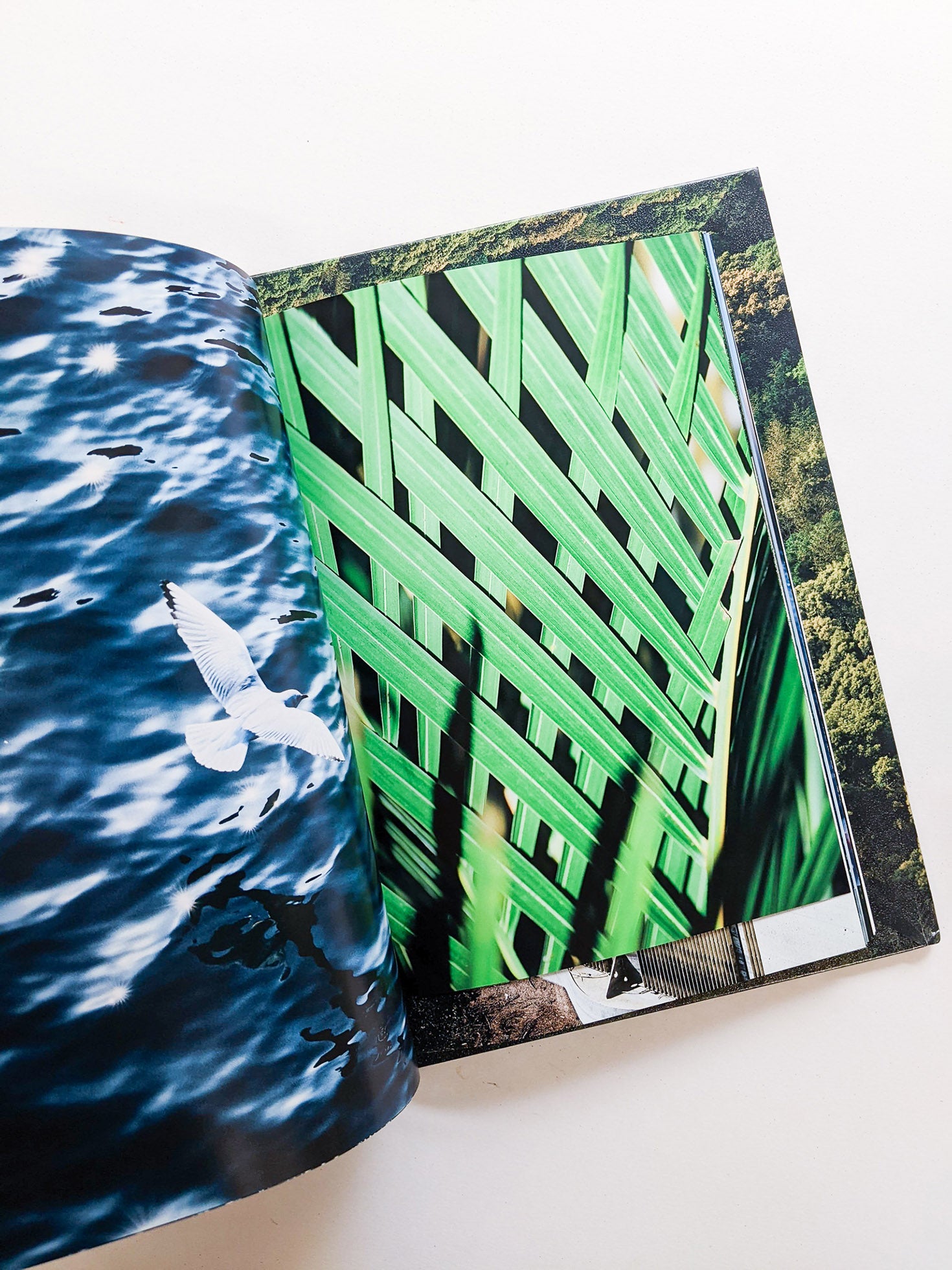 WARP AND WOOF / 竹之内祐幸