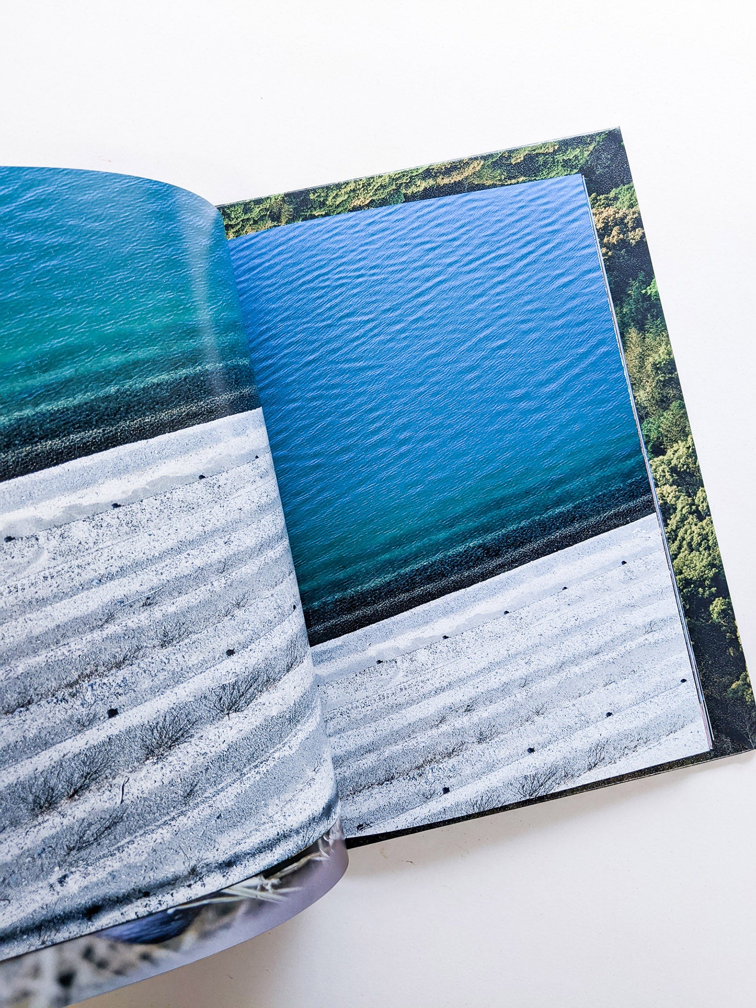 WARP AND WOOF / Hiroyuki Takenouchi