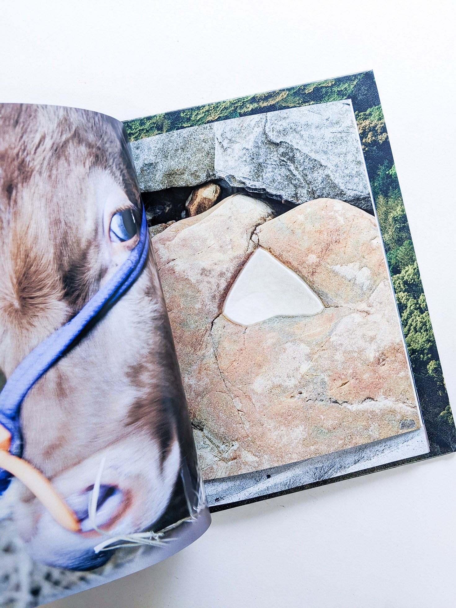 WARP AND WOOF / Hiroyuki Takenouchi