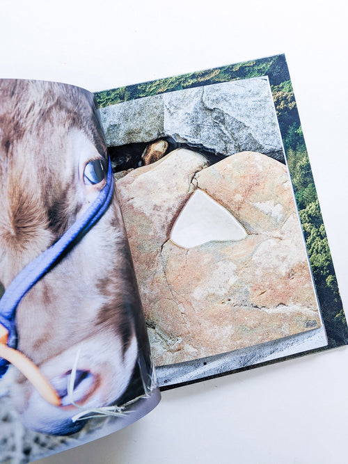 WARP AND WOOF / 竹之内祐幸