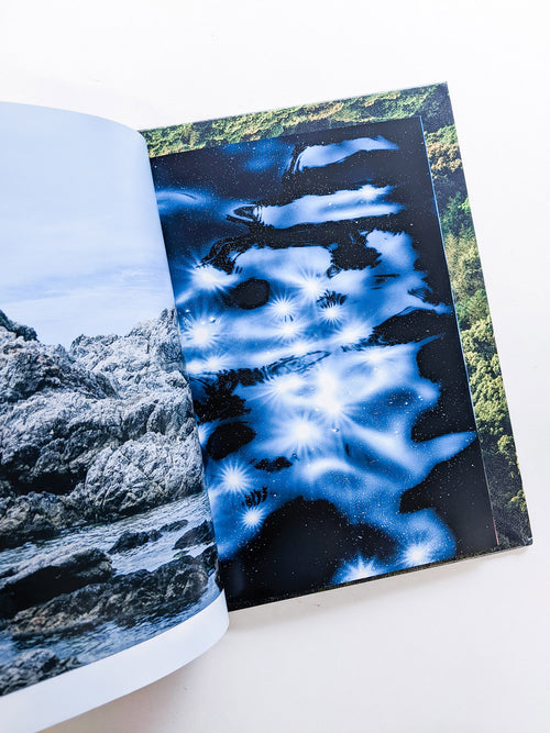 WARP AND WOOF / 竹之内祐幸