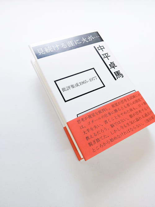 見続ける涯に火が… 批評集成1965-1977 / 中平卓馬