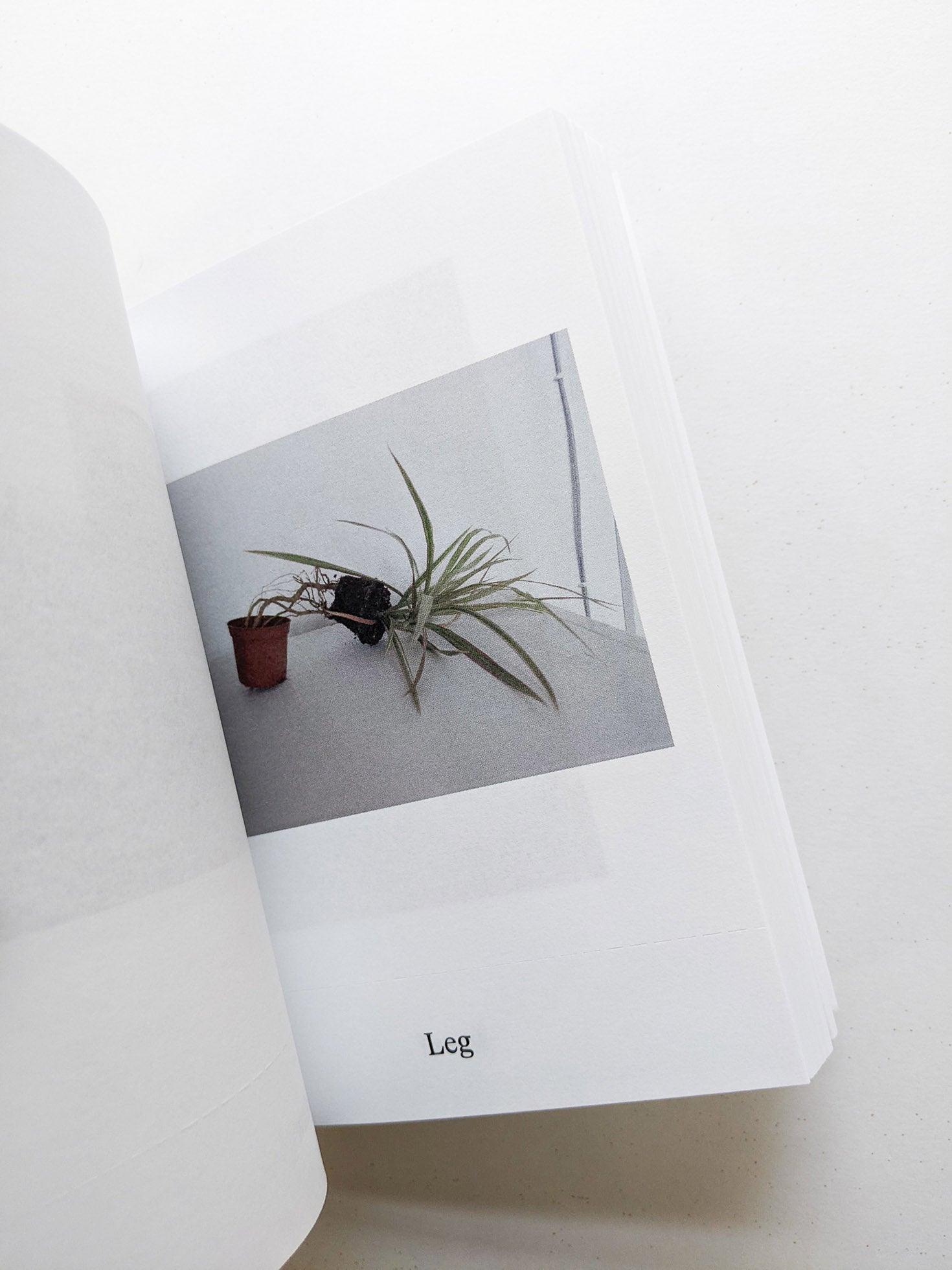 Dictionary / Anne Geene & Arjan de Nooy