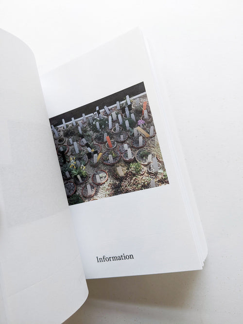 Dictionary / Anne Geene & Arjan de Nooy