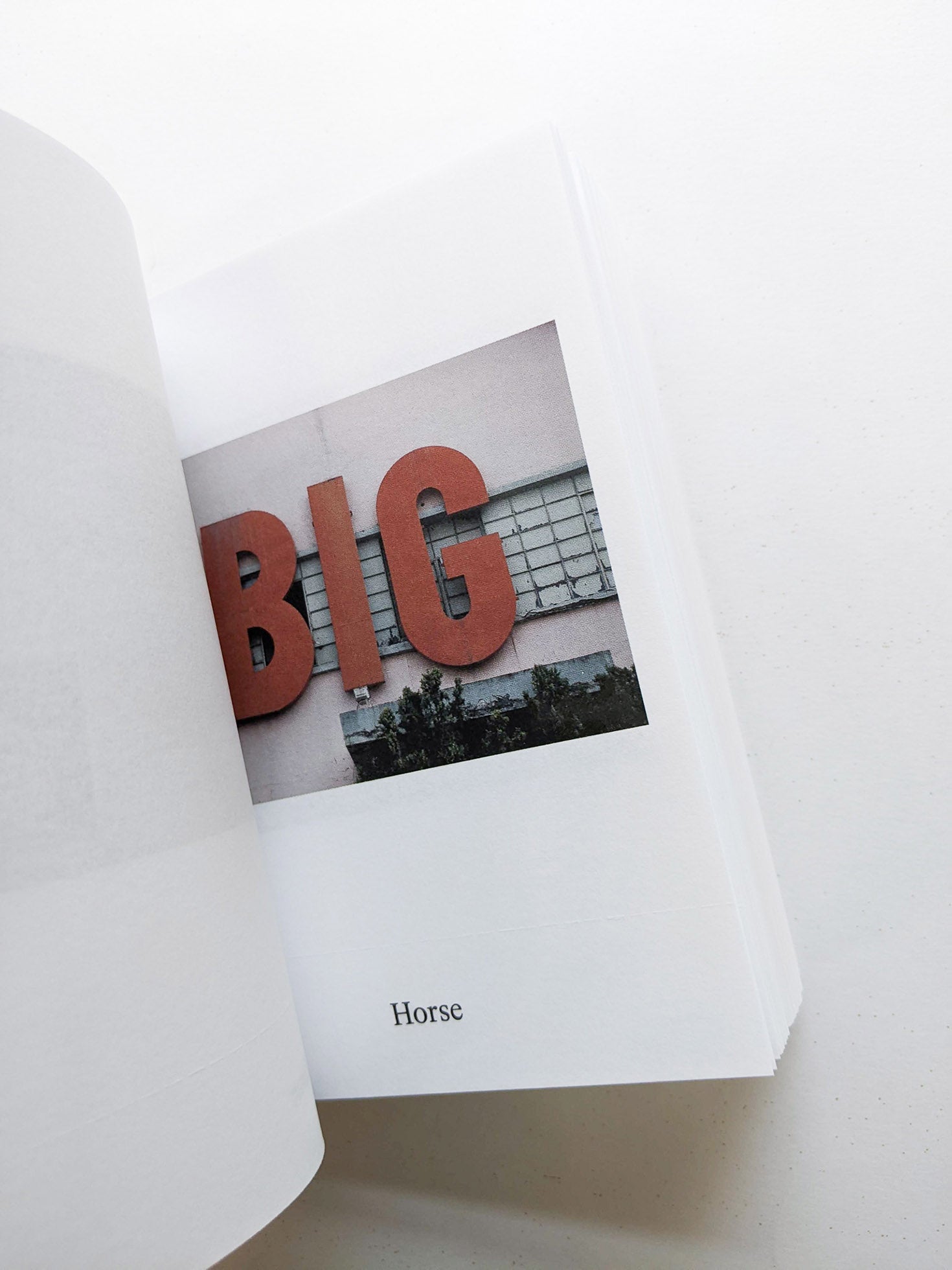 Dictionary / Anne Geene & Arjan de Nooy