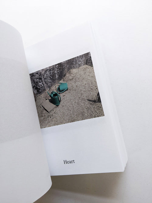 Dictionary / Anne Geene & Arjan de Nooy