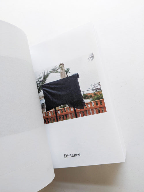 Dictionary / Anne Geene & Arjan de Nooy