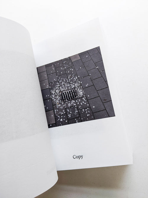 Dictionary / Anne Geene & Arjan de Nooy