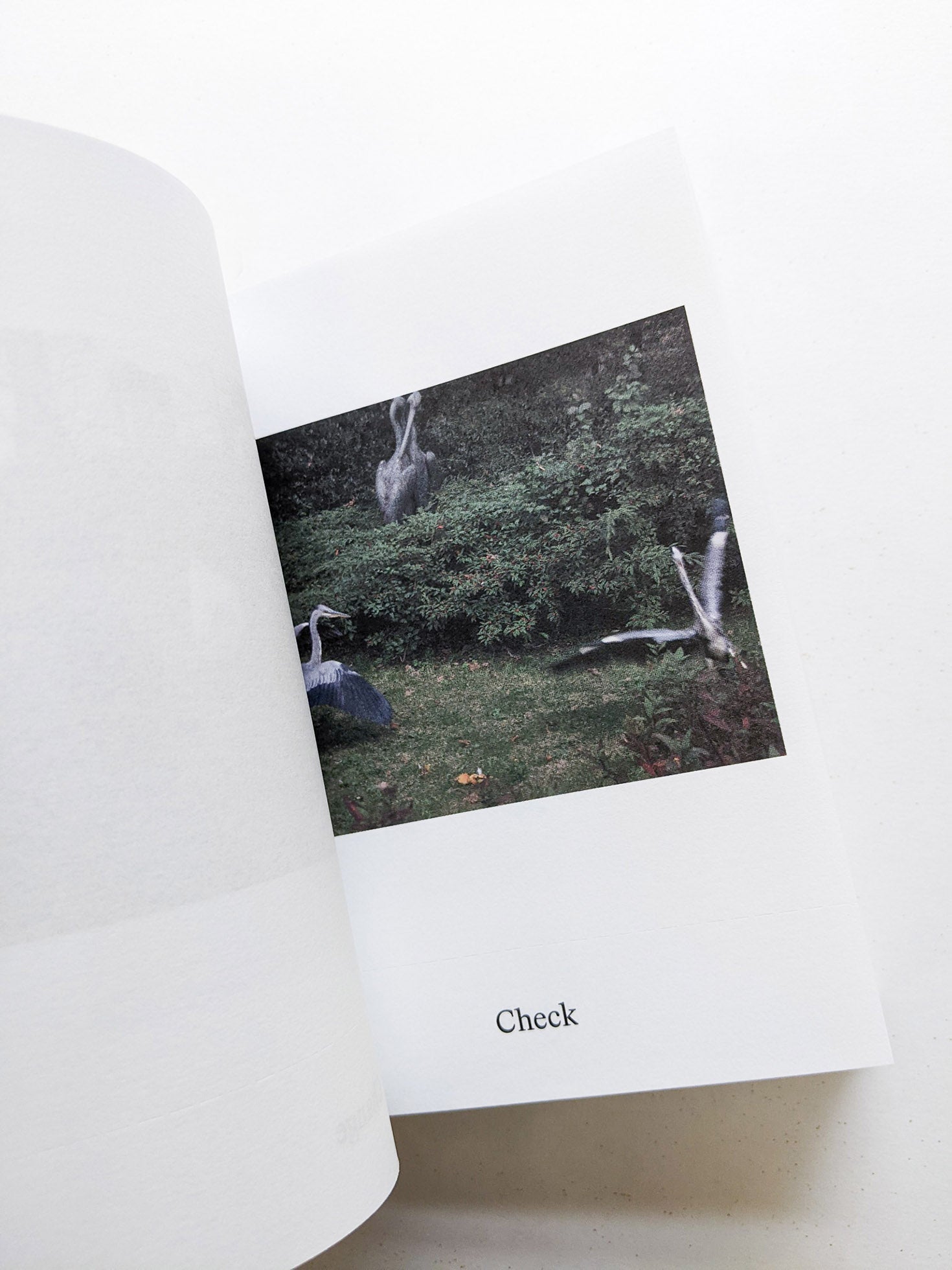 Dictionary / Anne Geene & Arjan de Nooy