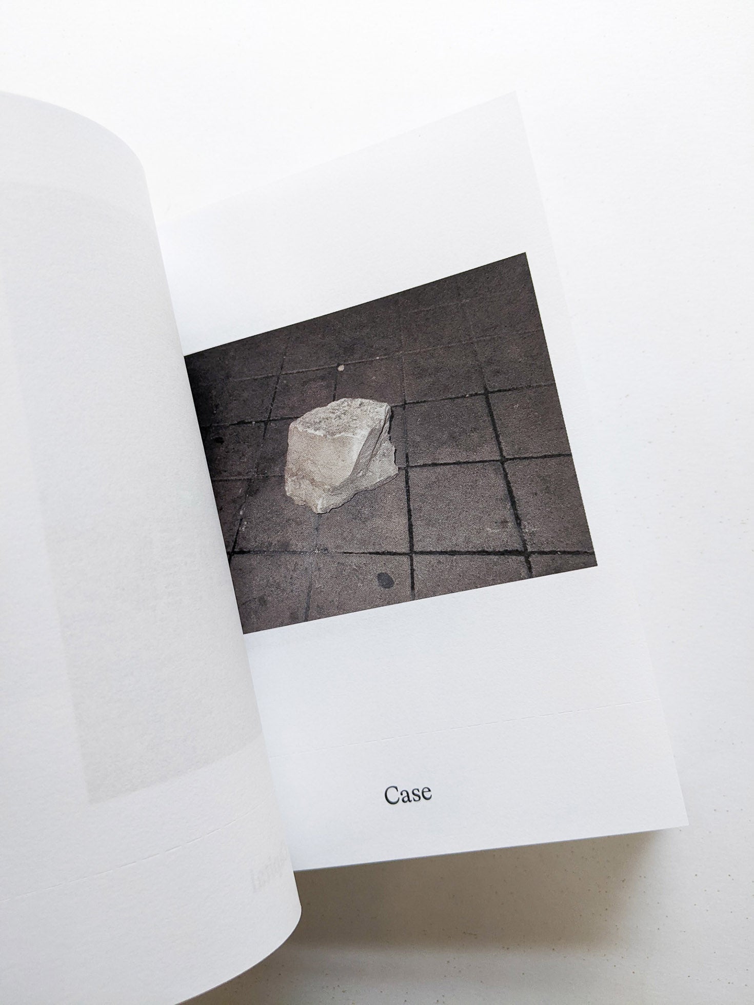 Dictionary / Anne Geene & Arjan de Nooy