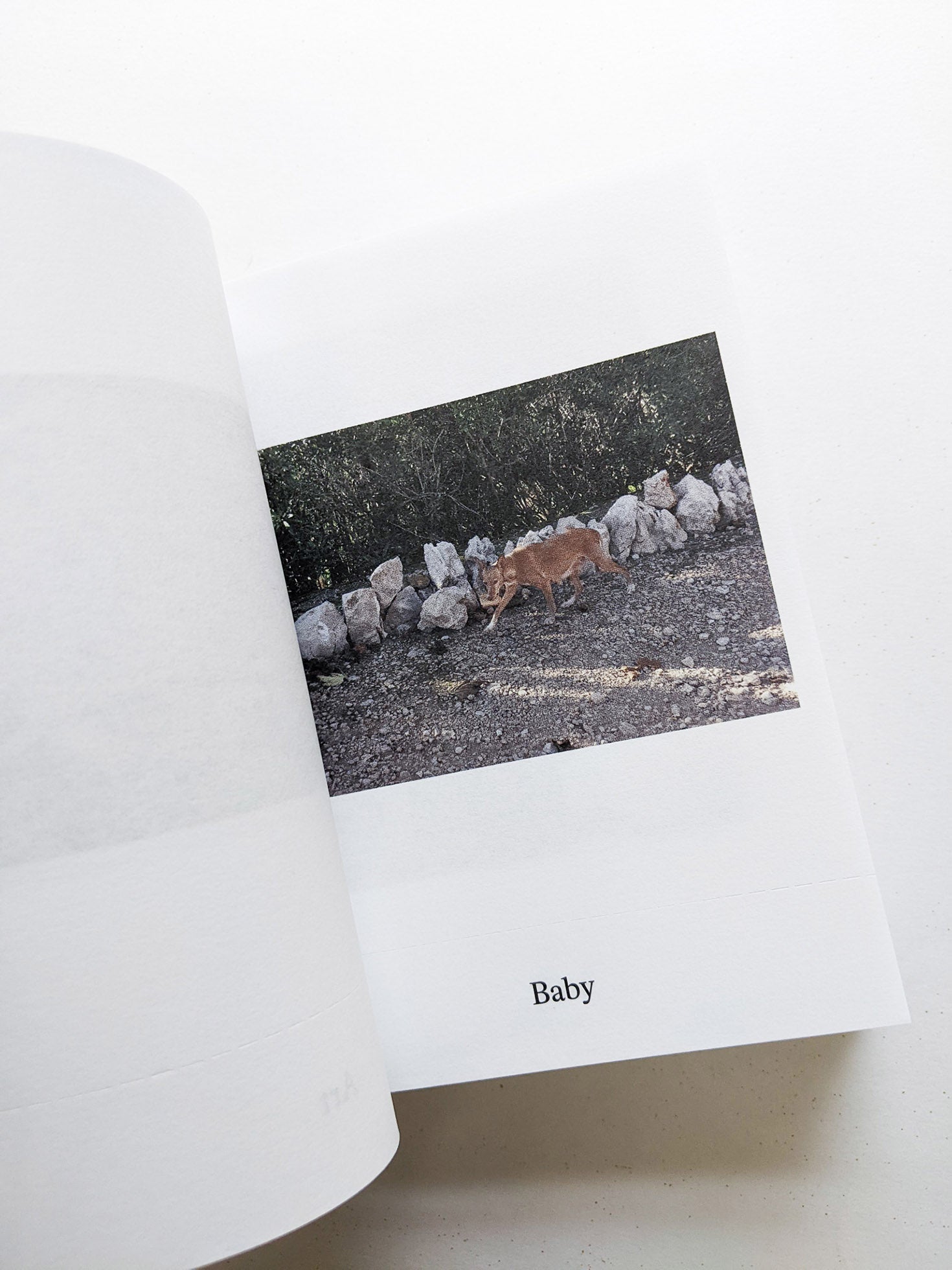 Dictionary / Anne Geene & Arjan de Nooy