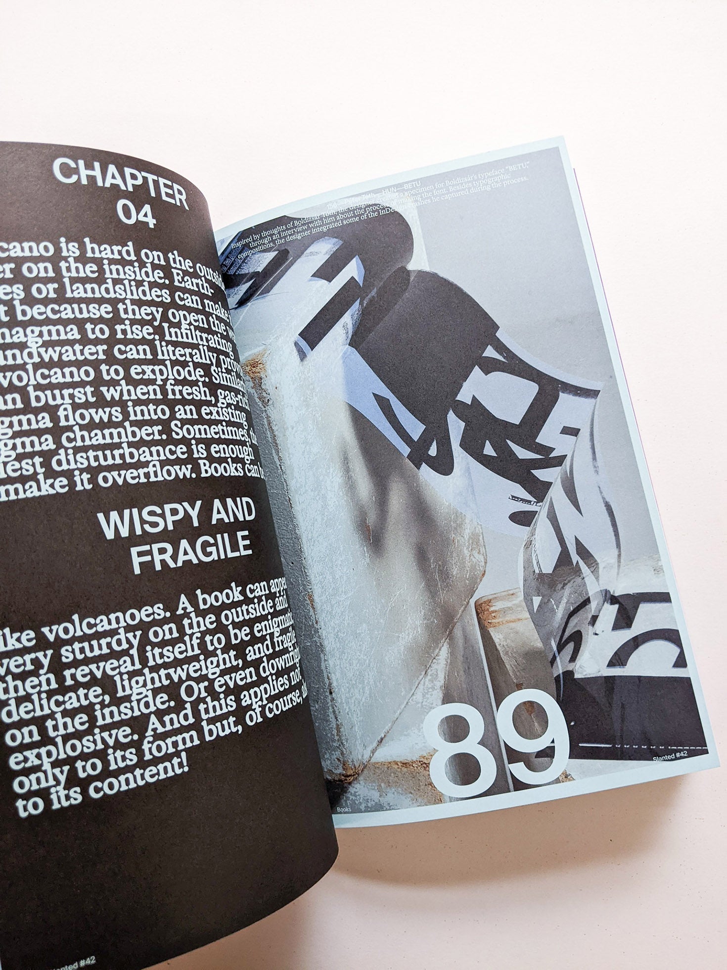 Slanted Magazine #42—Books