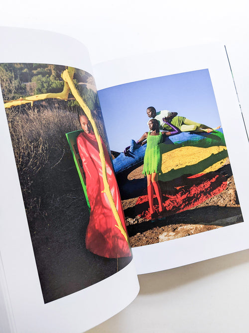 PHOSPHOR / Viviane Sassen
