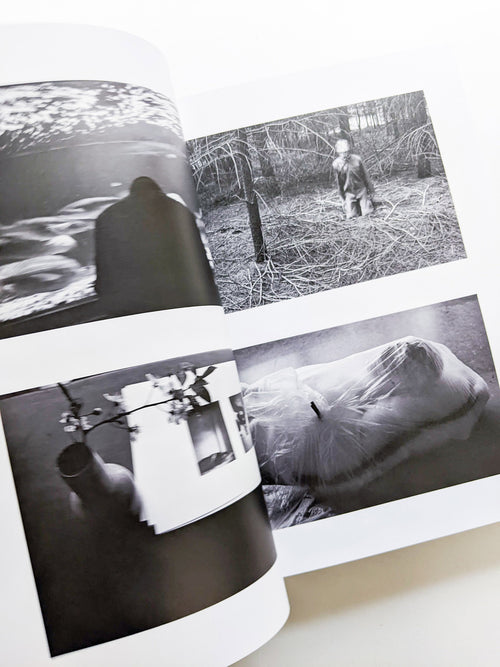 PHOSPHOR / Viviane Sassen