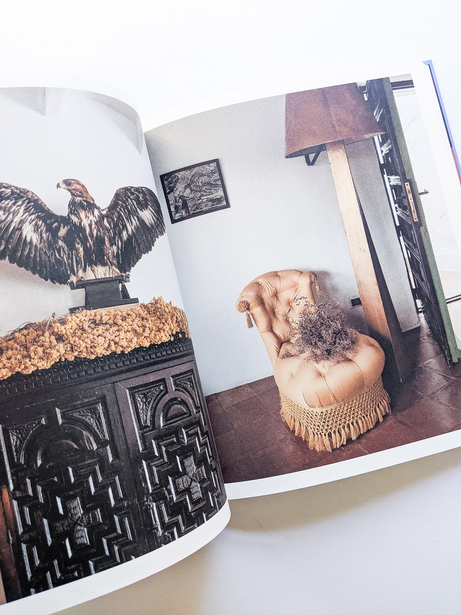 CASA DALÍ / Coco Capitán