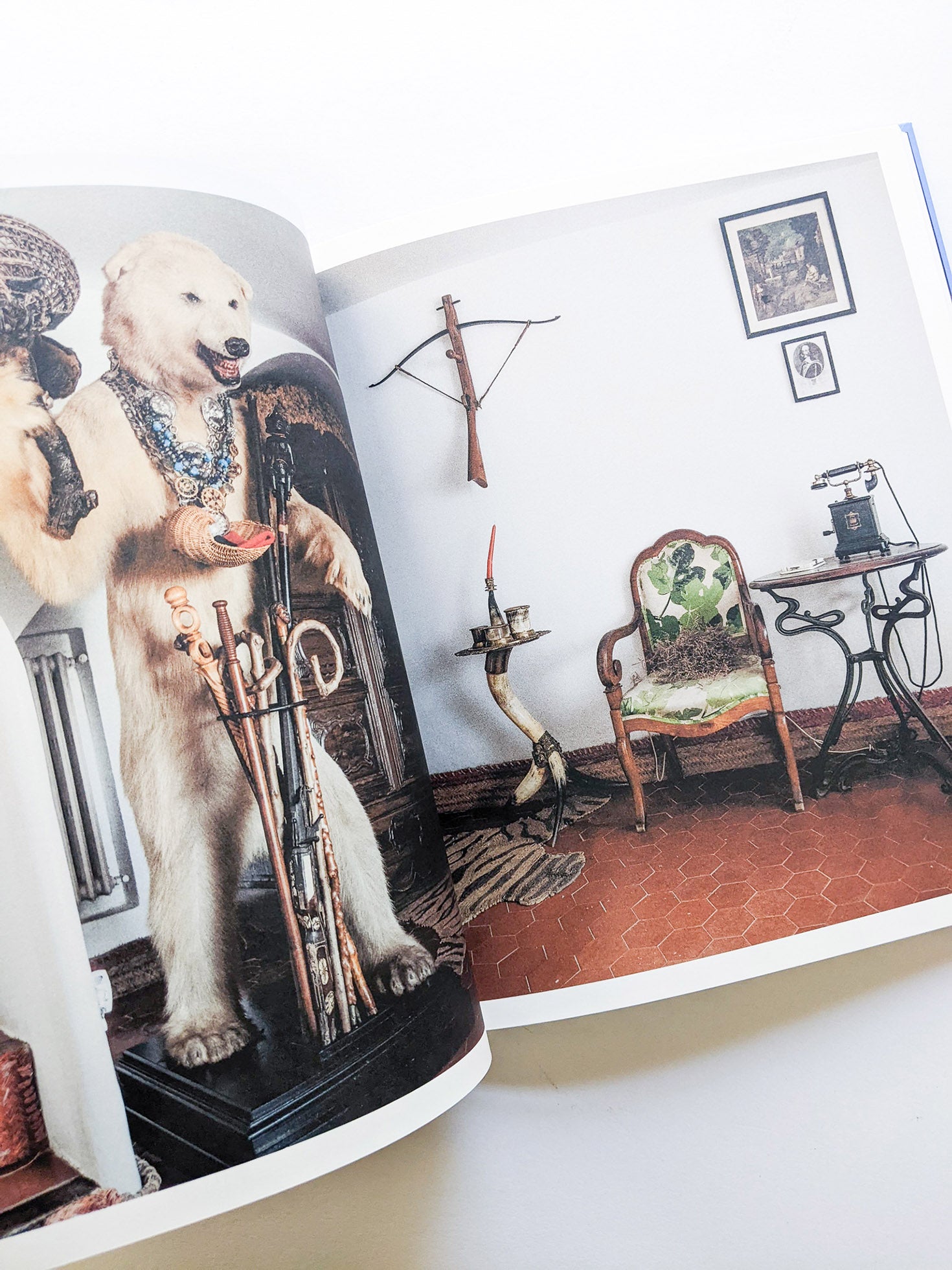 CASA DALÍ / Coco Capitán