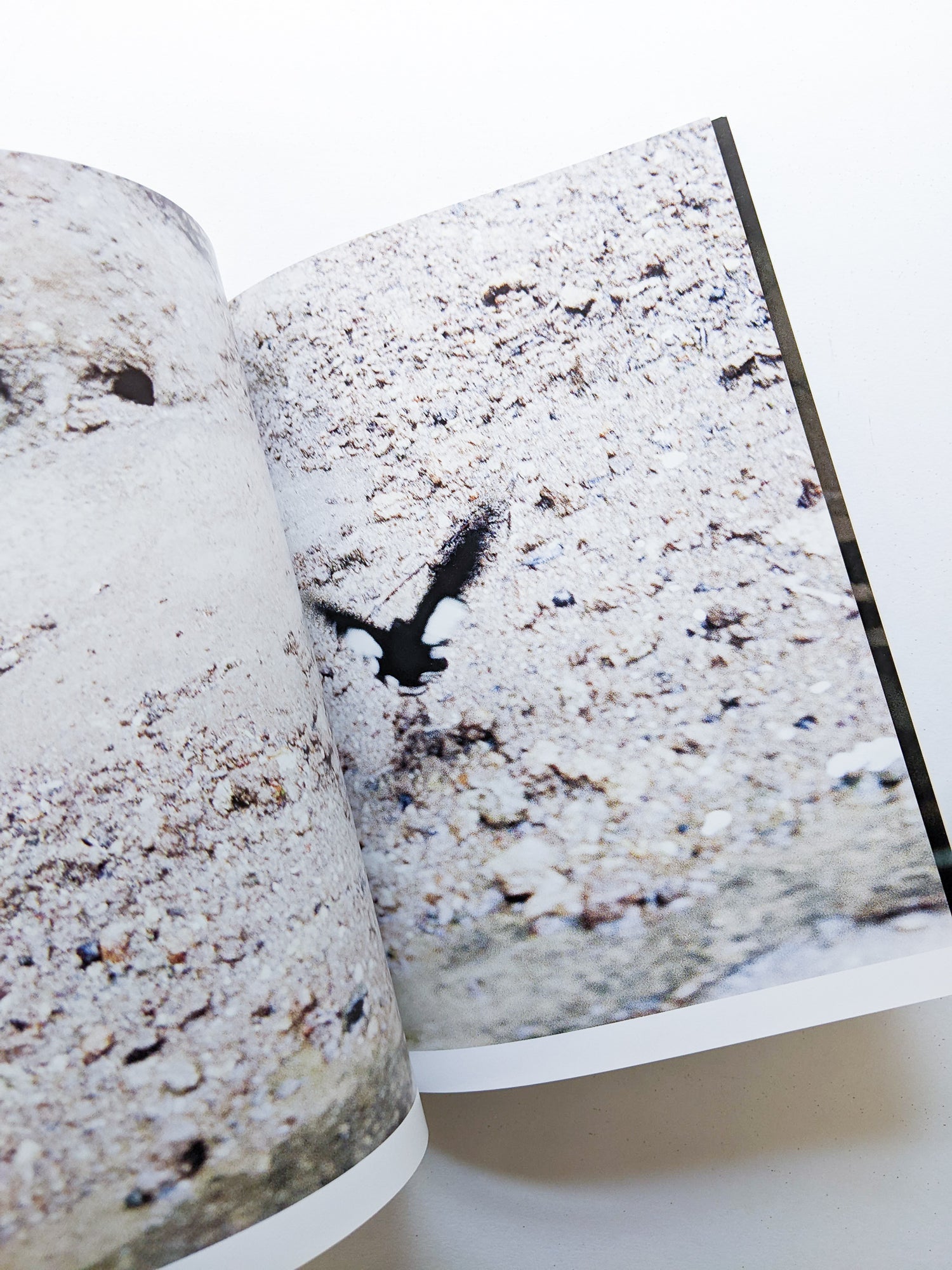 CLARITY / Sayo Nagase