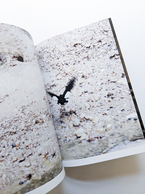 CLARITY / Sayo Nagase