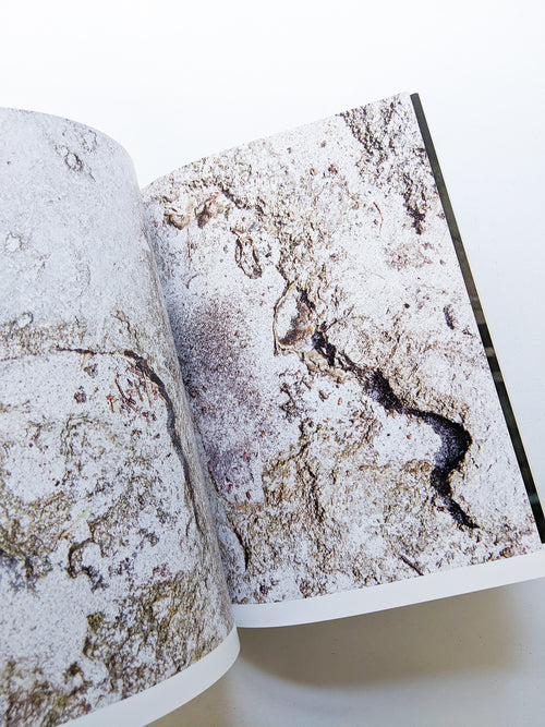 CLARITY / Sayo Nagase