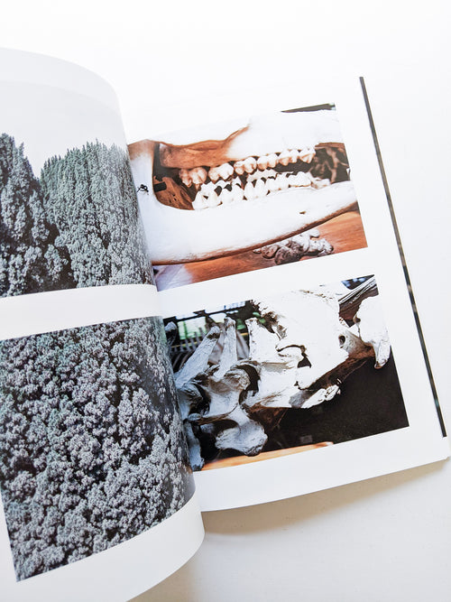 CLARITY / Sayo Nagase