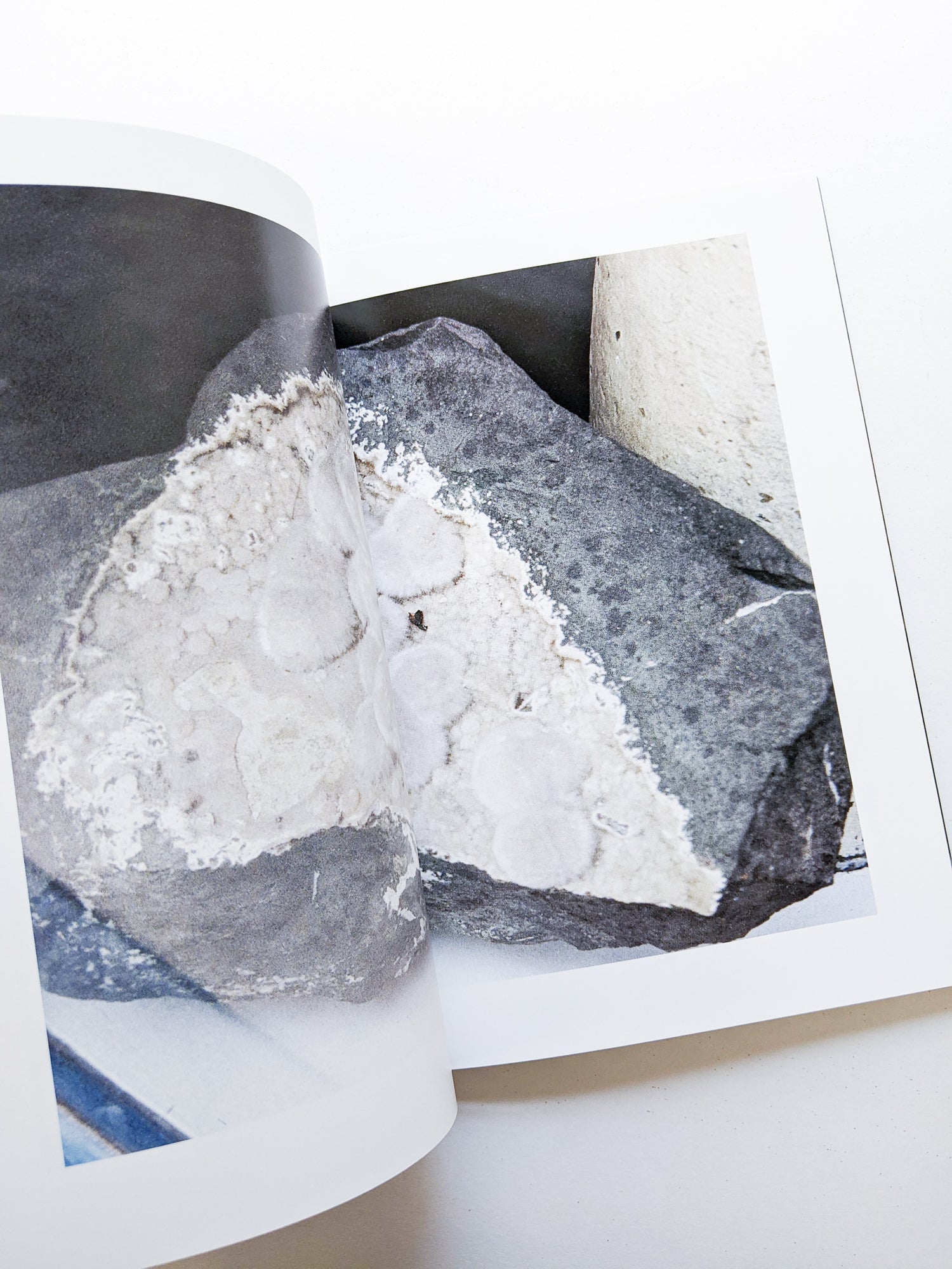 CLARITY / Sayo Nagase