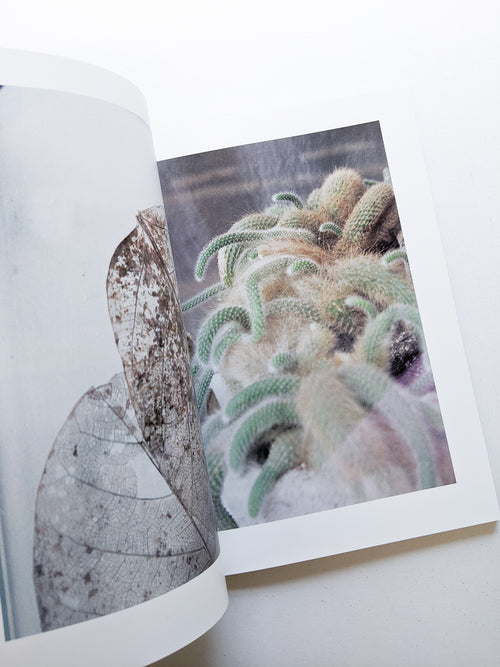 CLARITY / Sayo Nagase