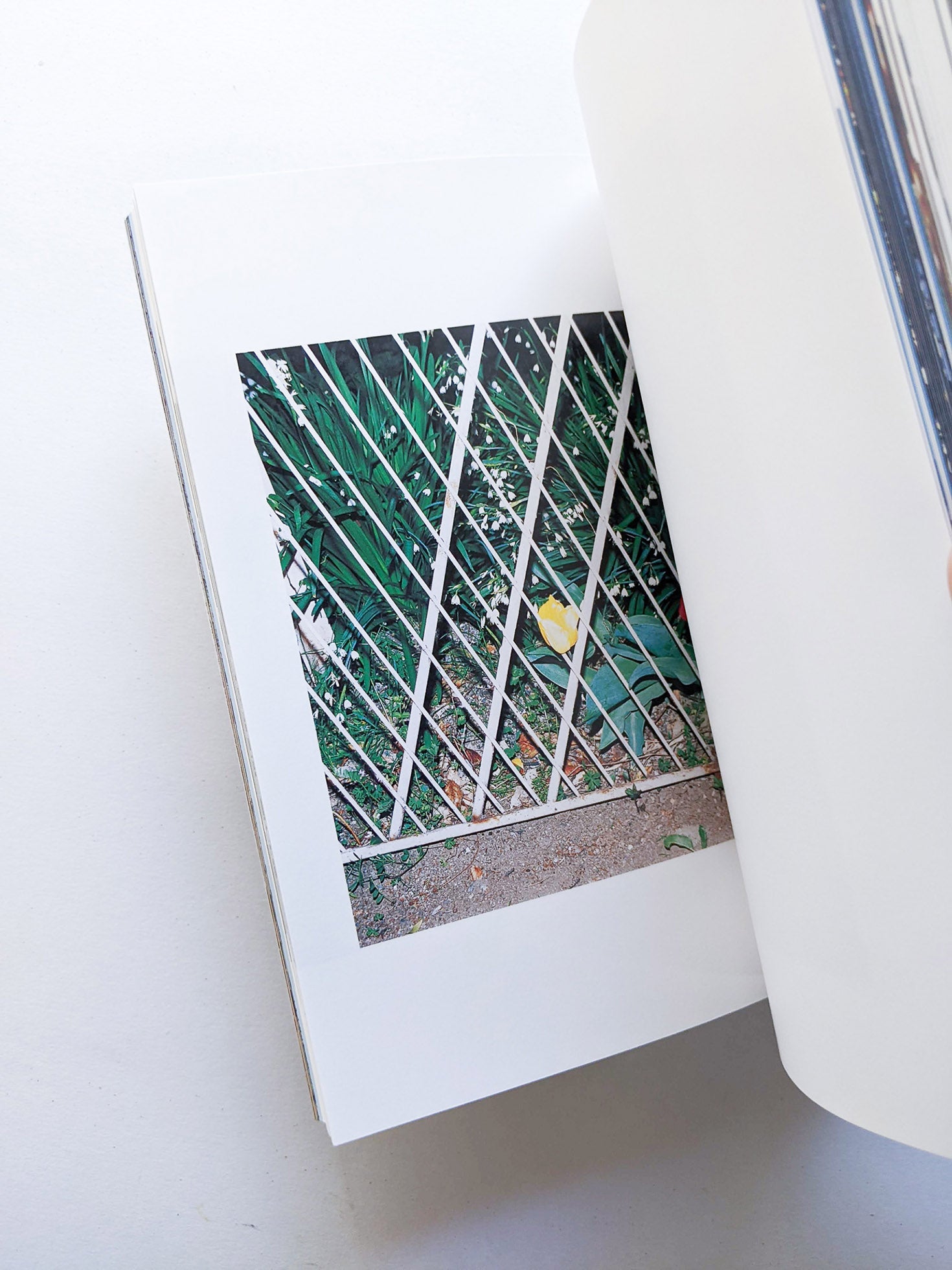 おはようもしもしあいしてる / Kotori Kawashima