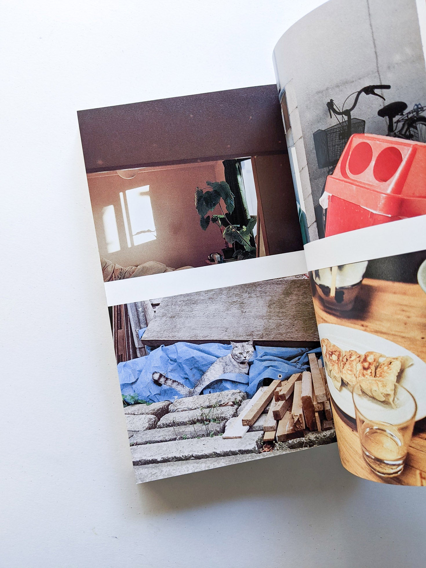 おはようもしもしあいしてる / Kotori Kawashima