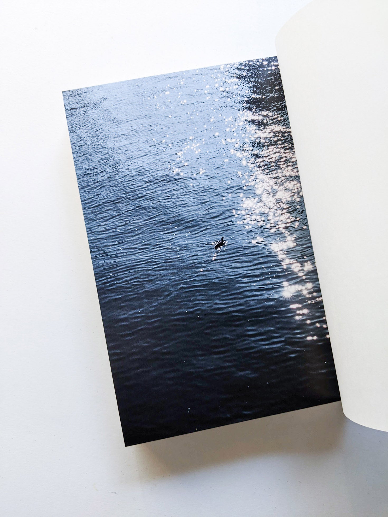 おはようもしもしあいしてる / Kotori Kawashima