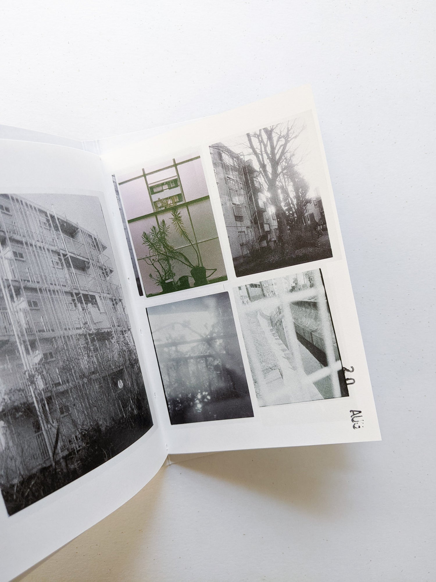 何じょう物じゃ / 花代