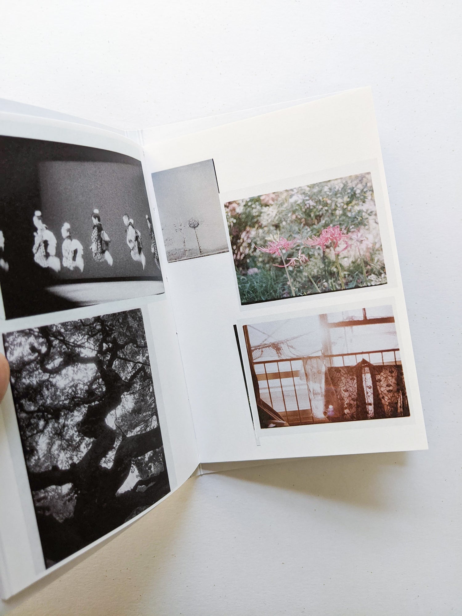 何じょう物じゃ / 花代