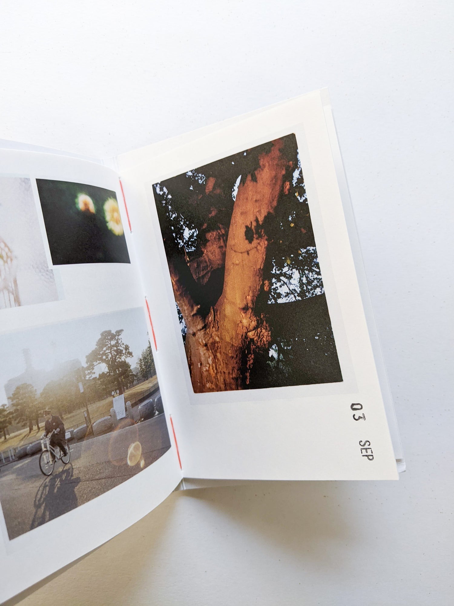 何じょう物じゃ / 花代