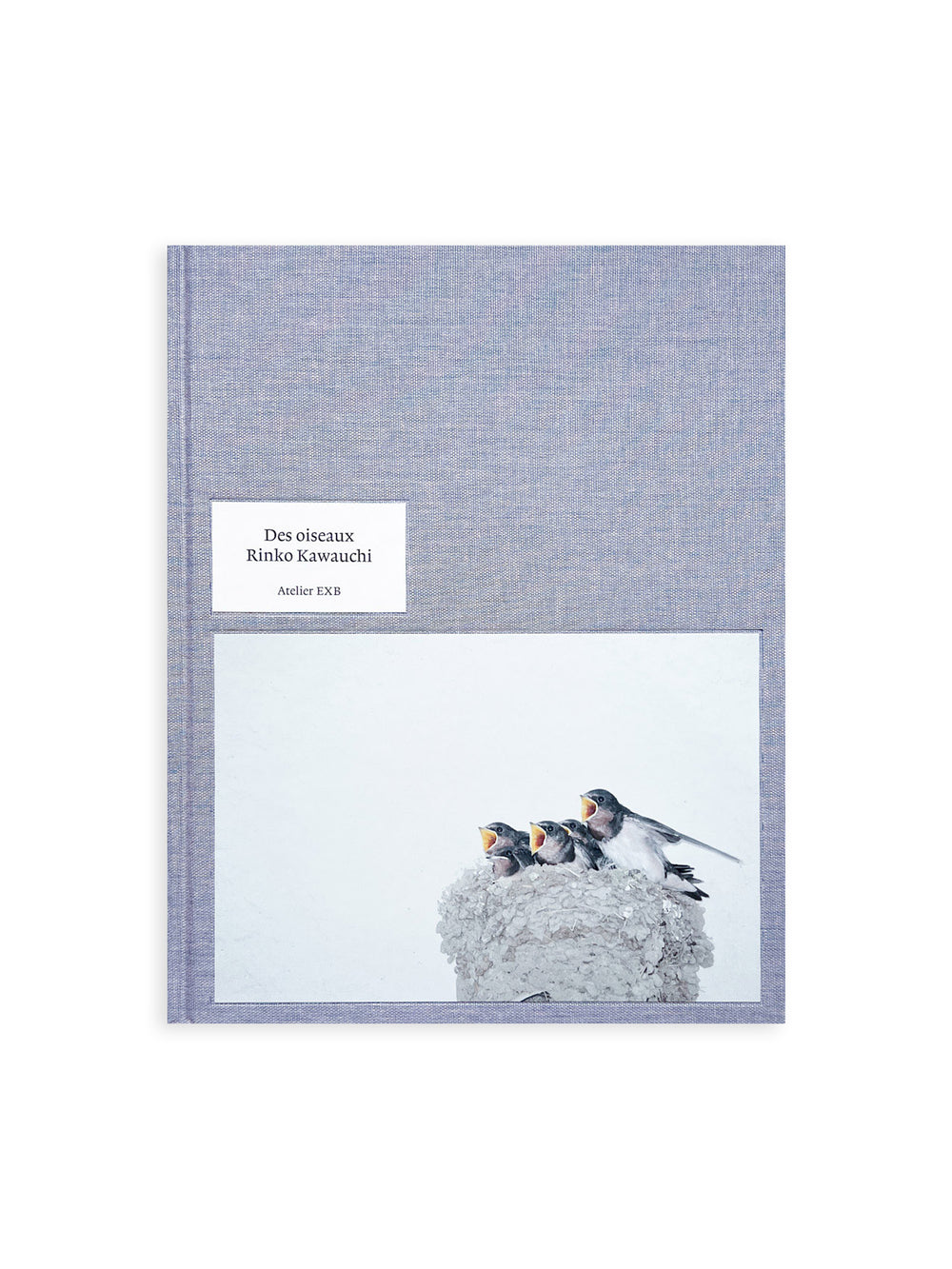 DES OISEAUX - Rinko Kawauchi