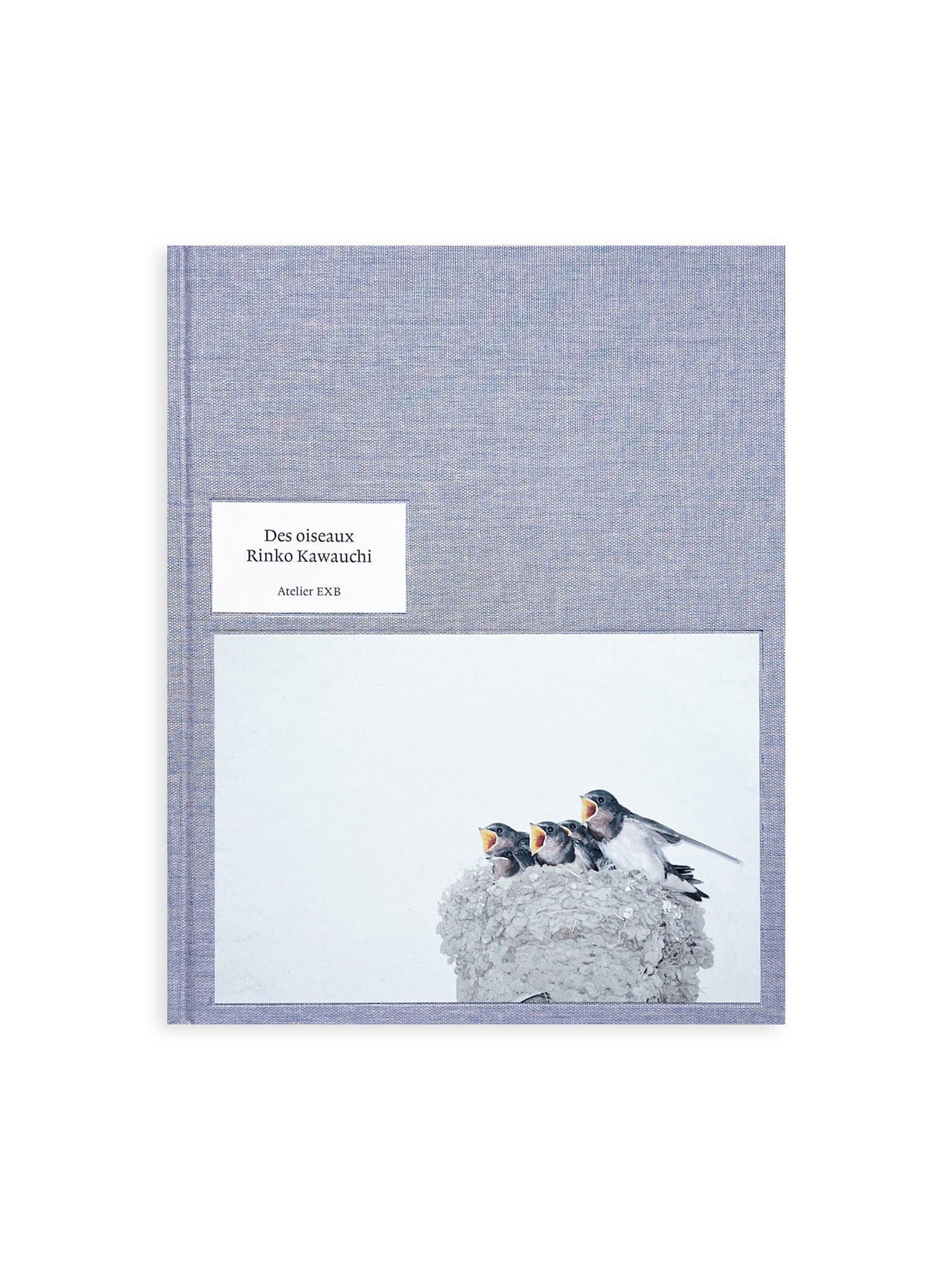 DES OISEAUX - Rinko Kawauchi