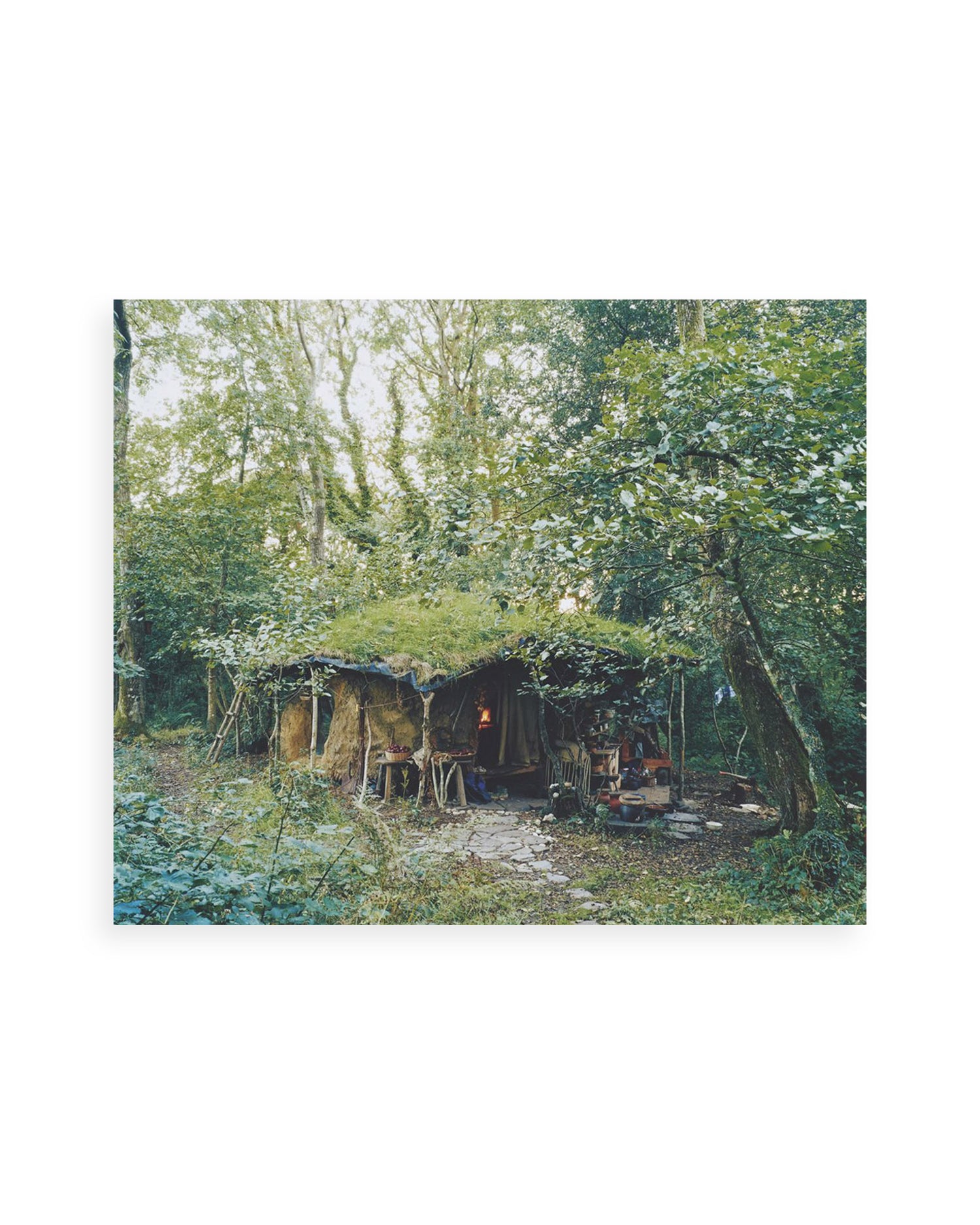 SETTLEMENTS / David Spero