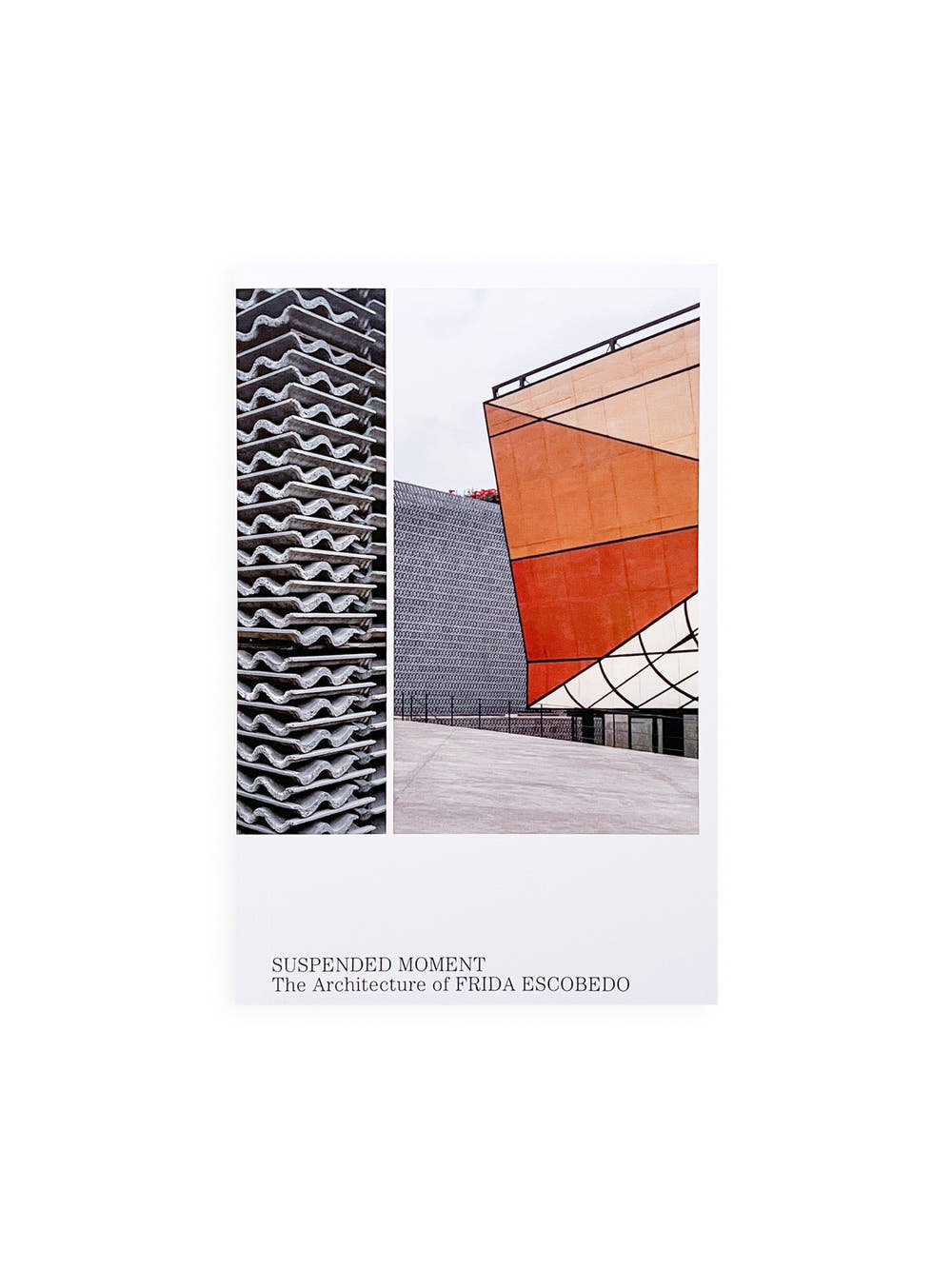 SUSPENDED MOMENT: The Architecture of FRIDA ESCOBEDO