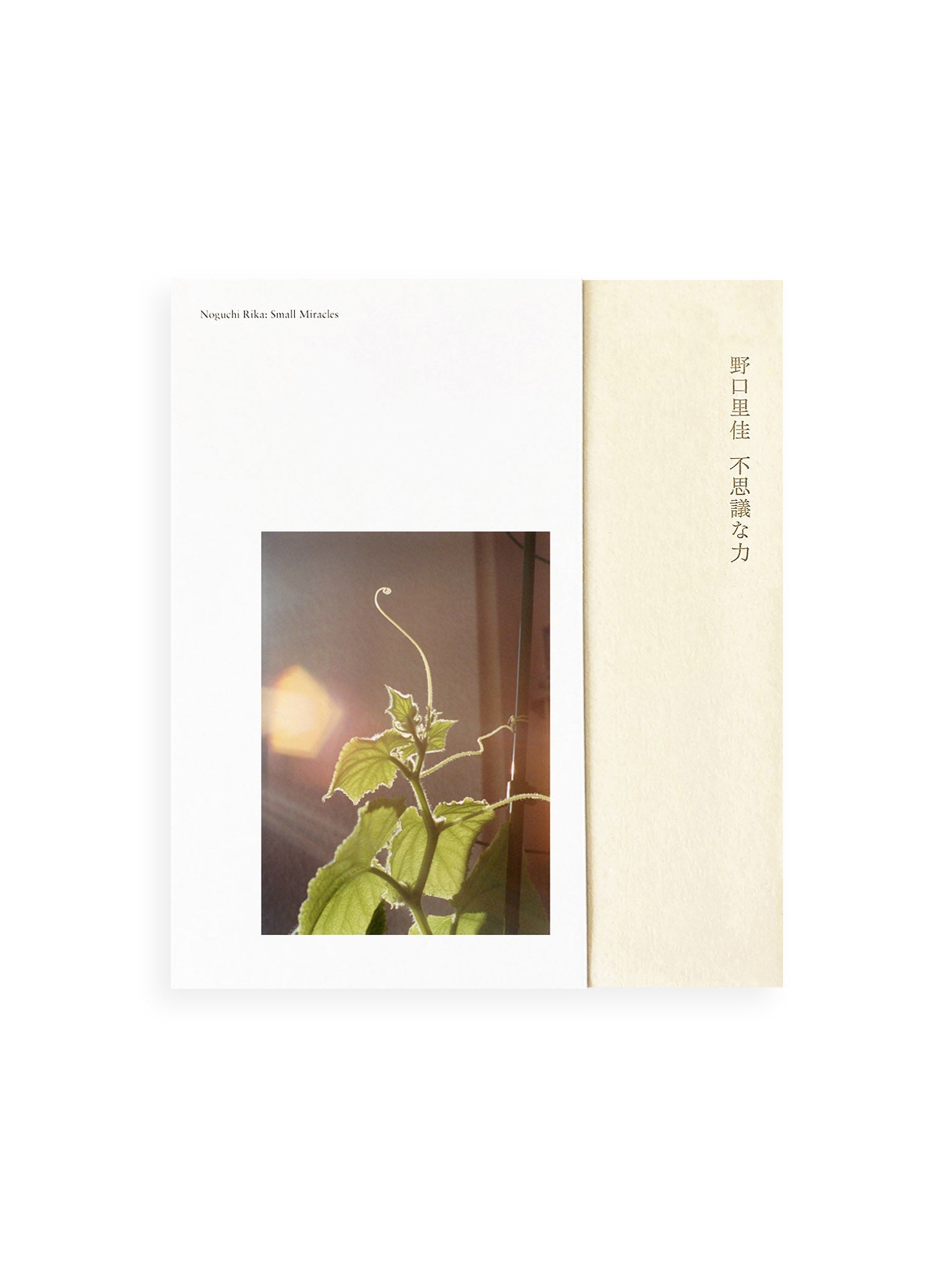 Small Miracles / Noguchi Rika