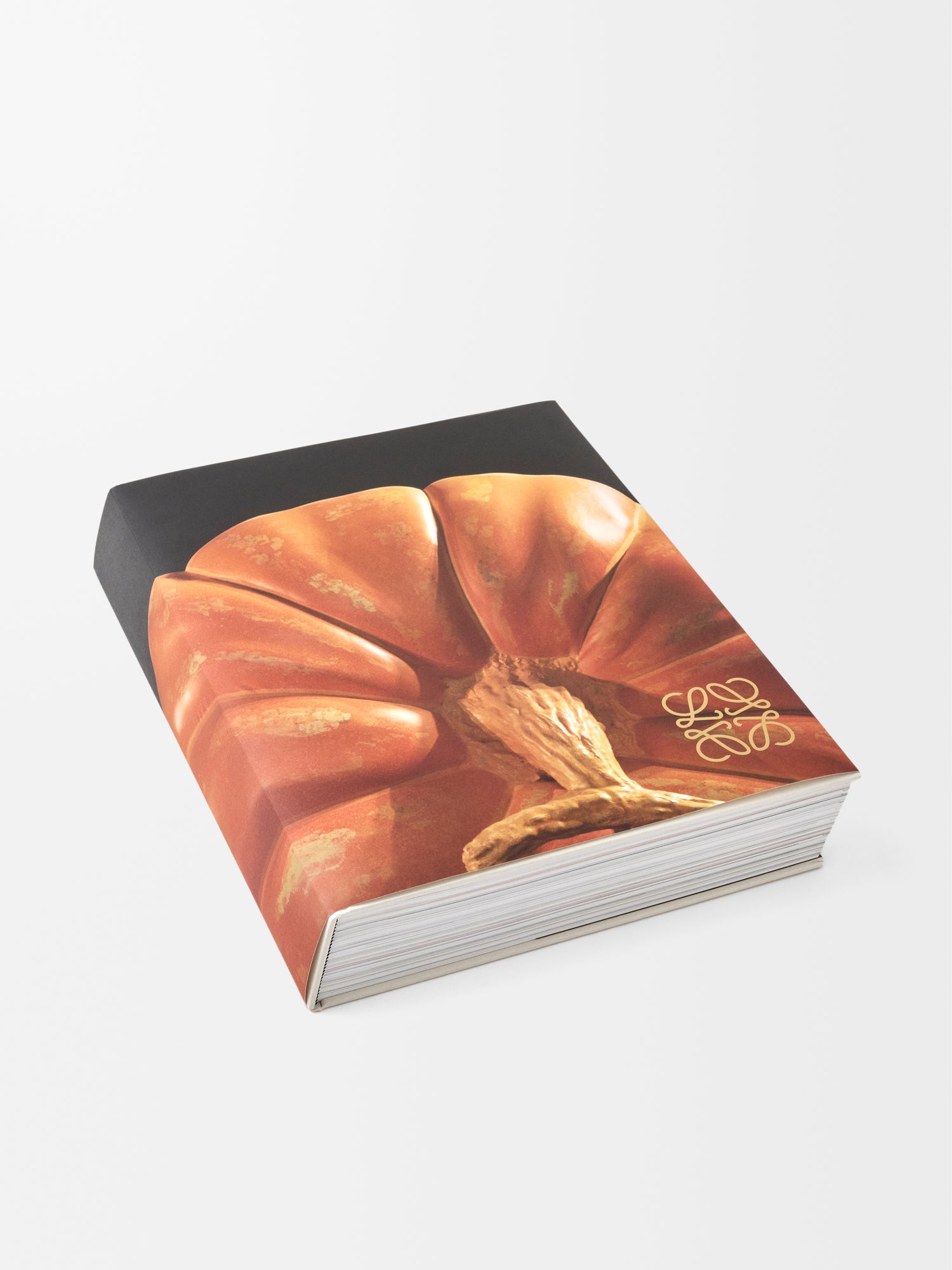 CRAFTED WORLD: JONATHAN ANDERSON'S LOEWE