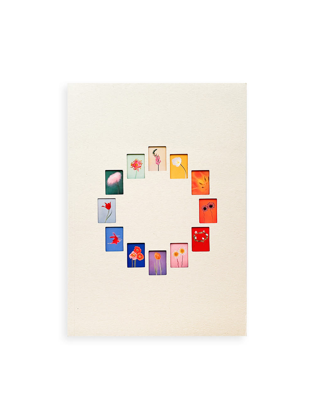 The Chromatics of Flowers / Paula Codoner