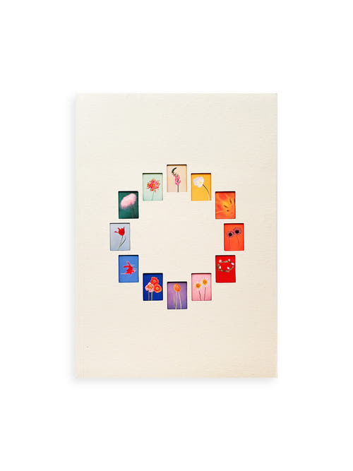 The Chromatics of Flowers / Paula Codoner