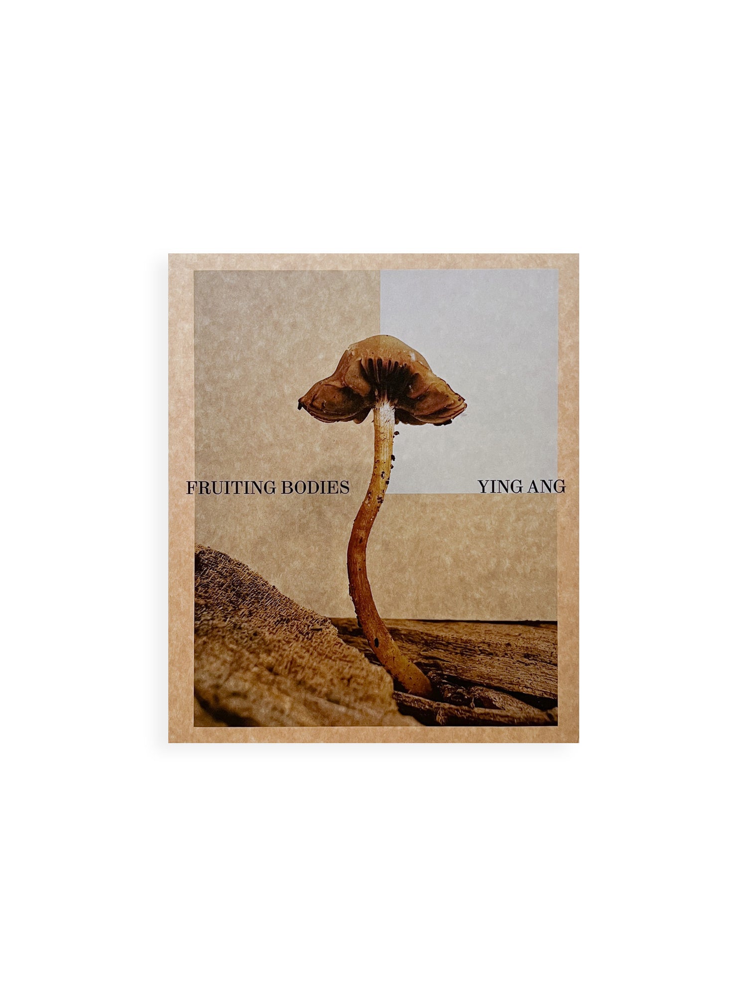 Fruiting Bodies / Ying Ang