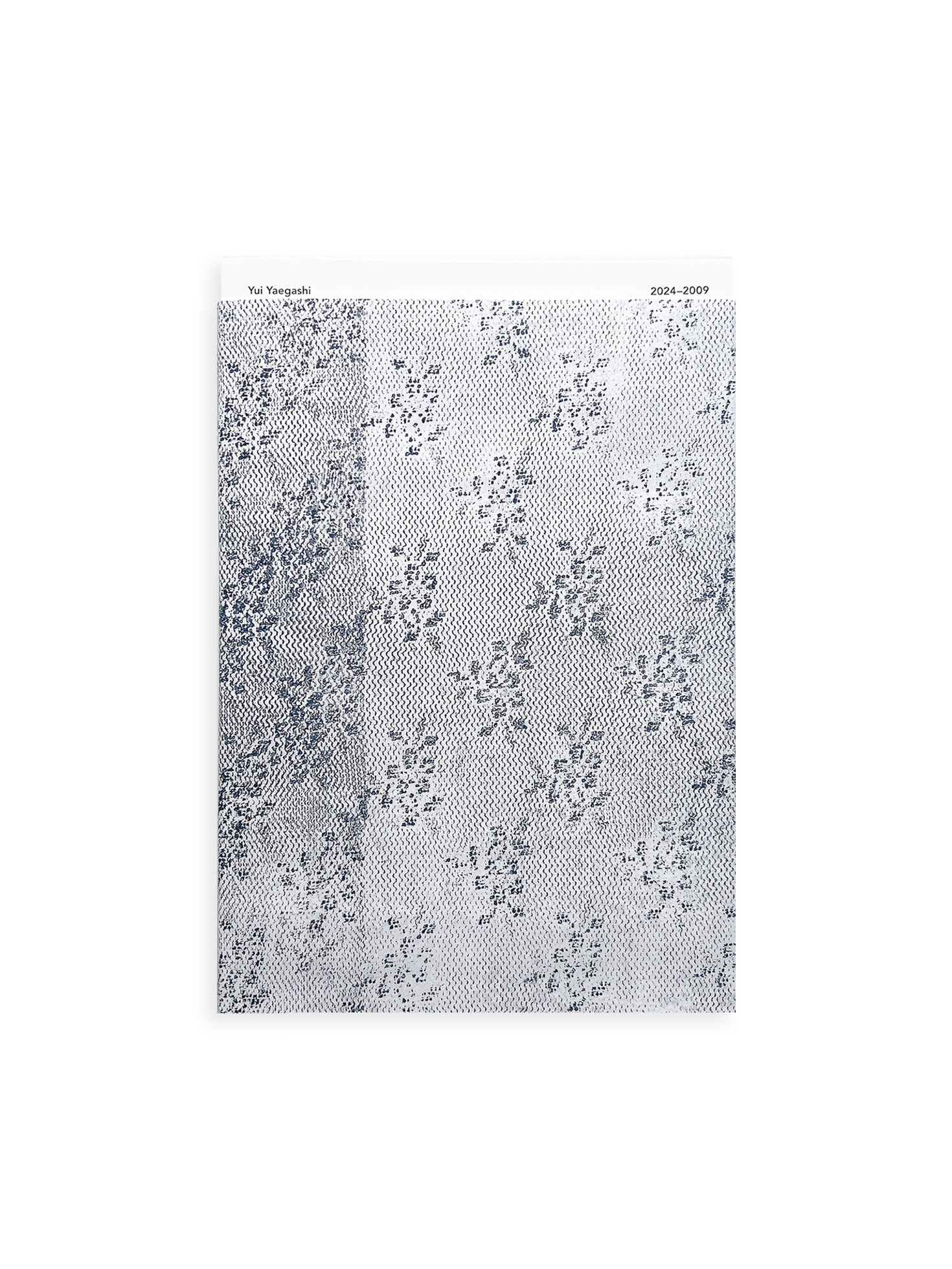 Yui Yaegashi. 2024 - 2009 / Yui Yaegashi [SIGNED]