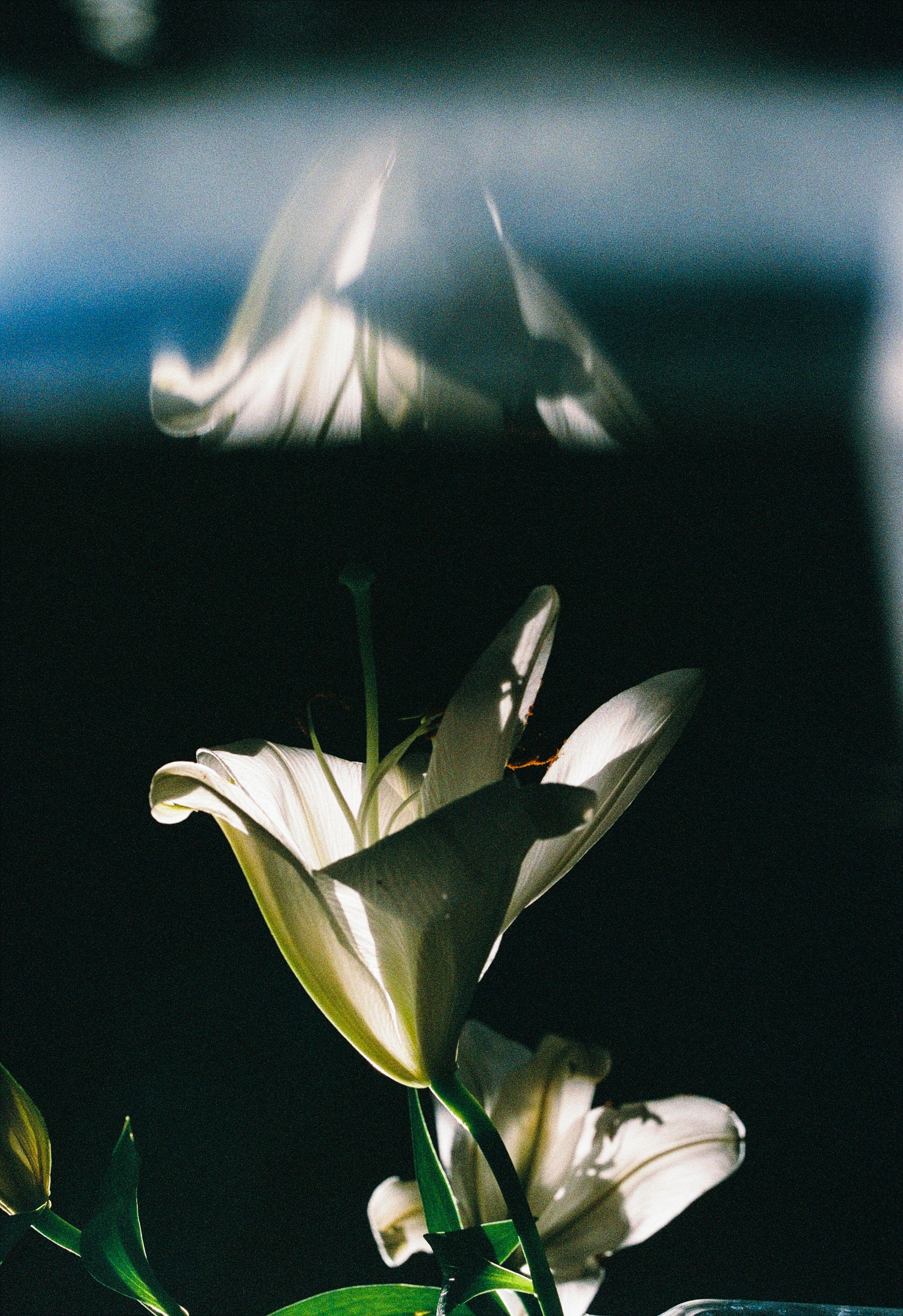 ー・・ Print A [SIGNED / FRAMED]