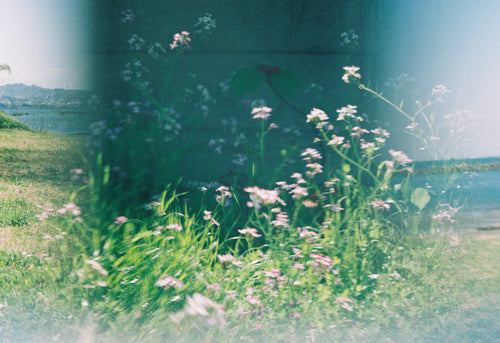 ー・・ Print F [SIGNED / FRAMED]